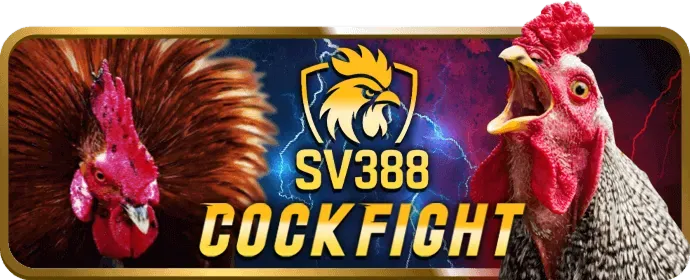 Tiền thưởng chào mừng cho người chơi mới tại 368bet